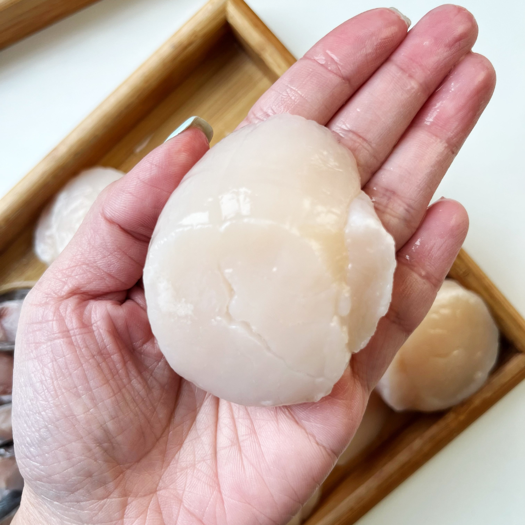 Huge Scallops (Sashimi Quality)