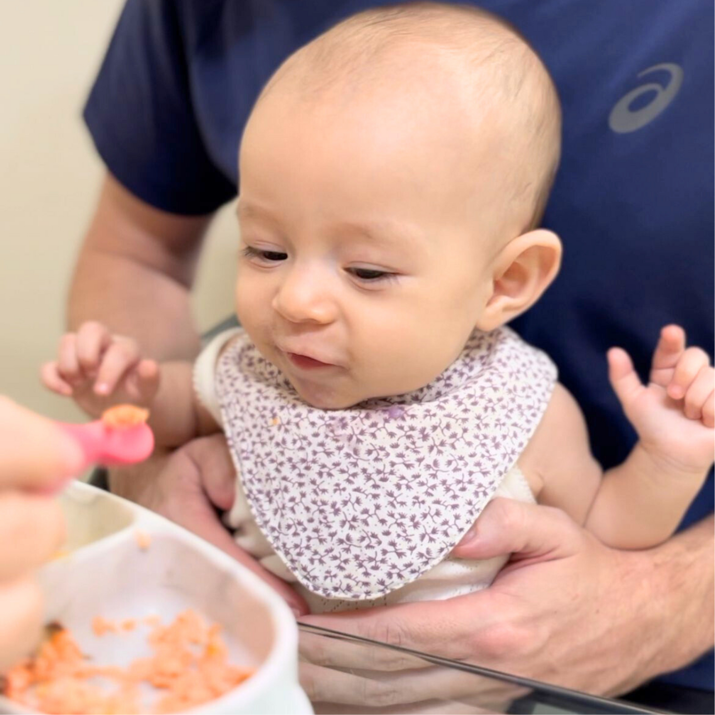 Baby's First Fishes Pack (Suitable for 6m-12m)