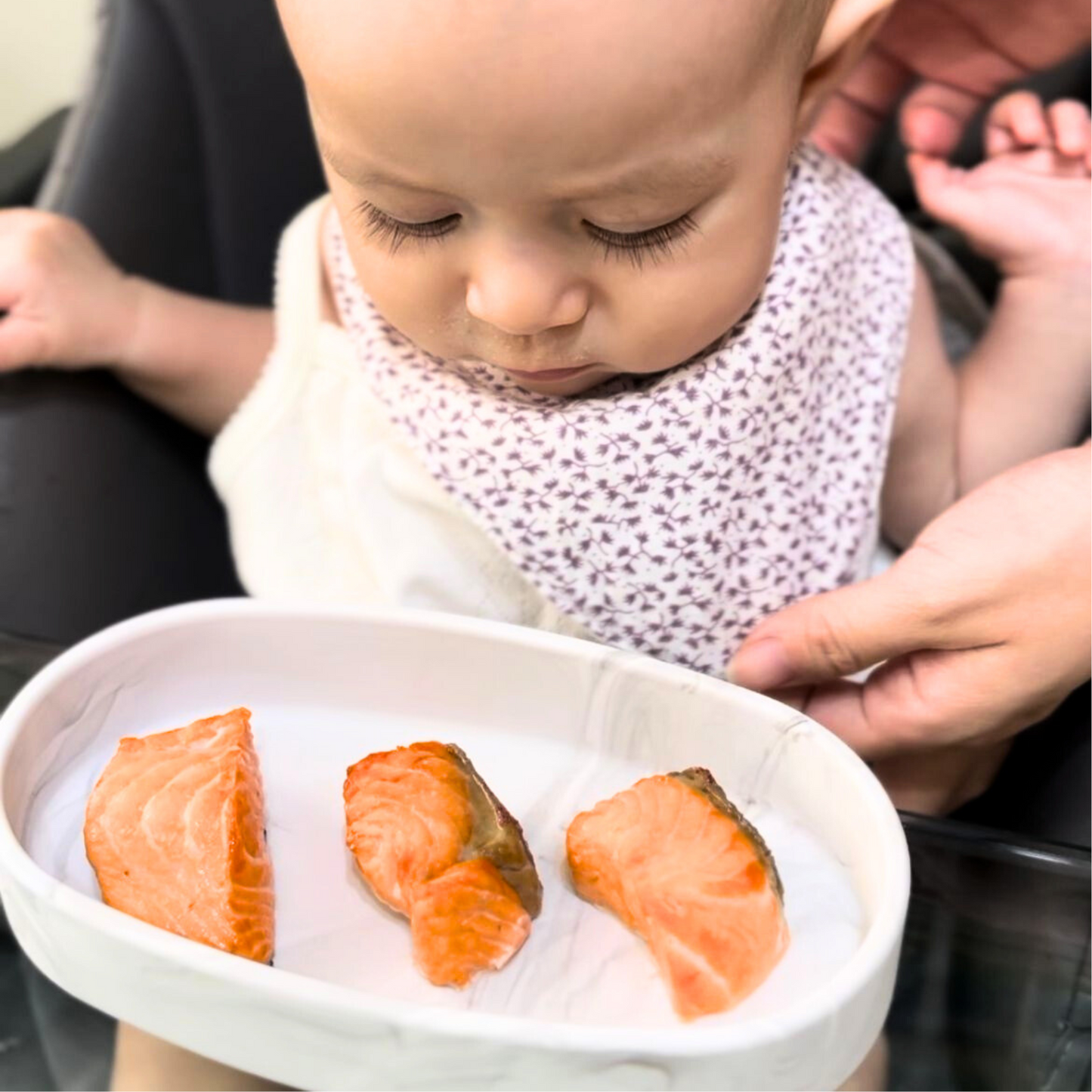 Baby's First Fishes Pack (Suitable for 6m-12m)