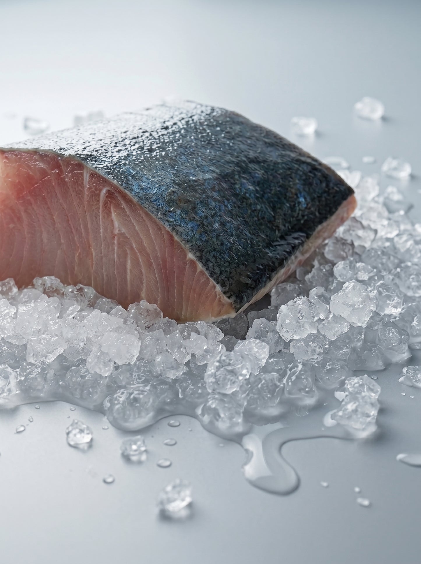 Spanish Mackerel Fillet (Batang)
