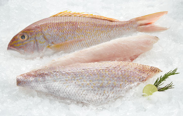 Goldband Snapper (Ang Go Li)