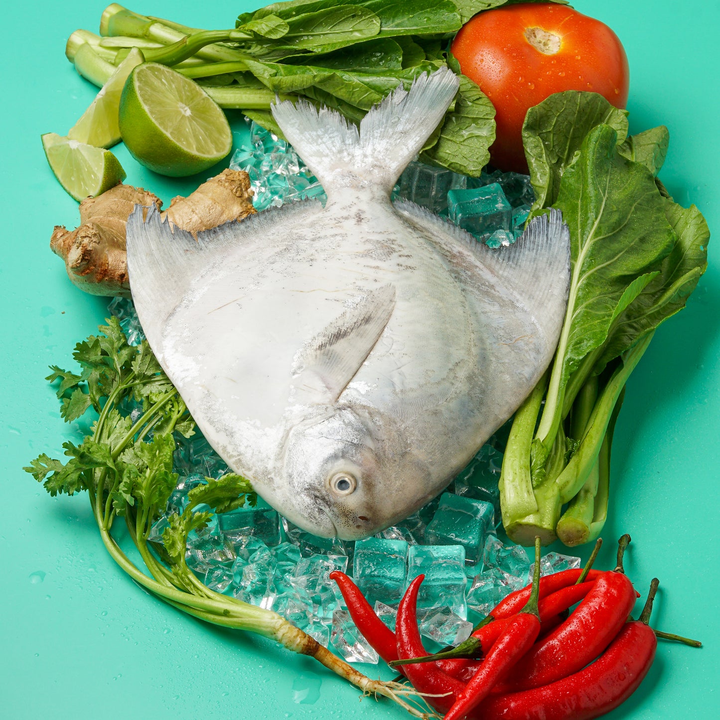 Chinese Pomfret