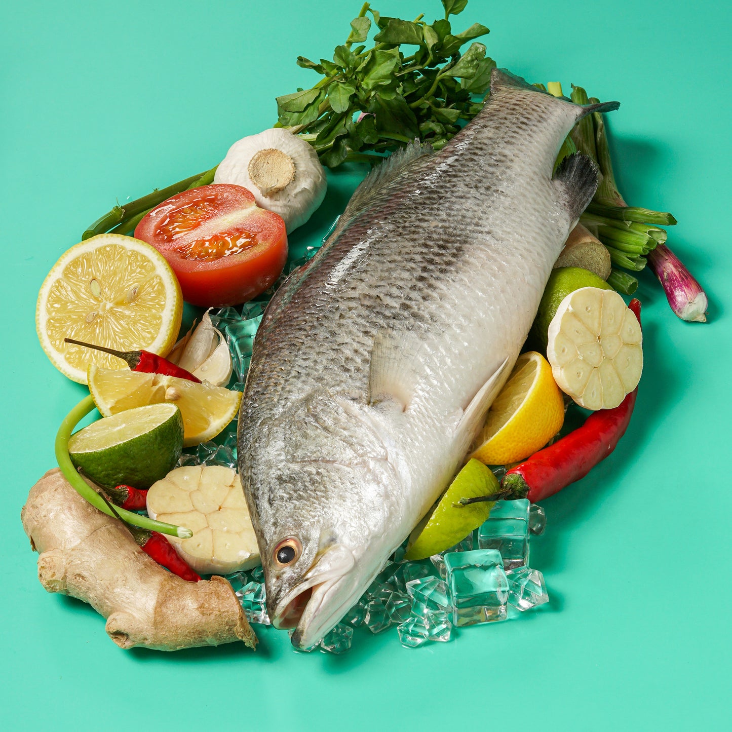 Sea Bass