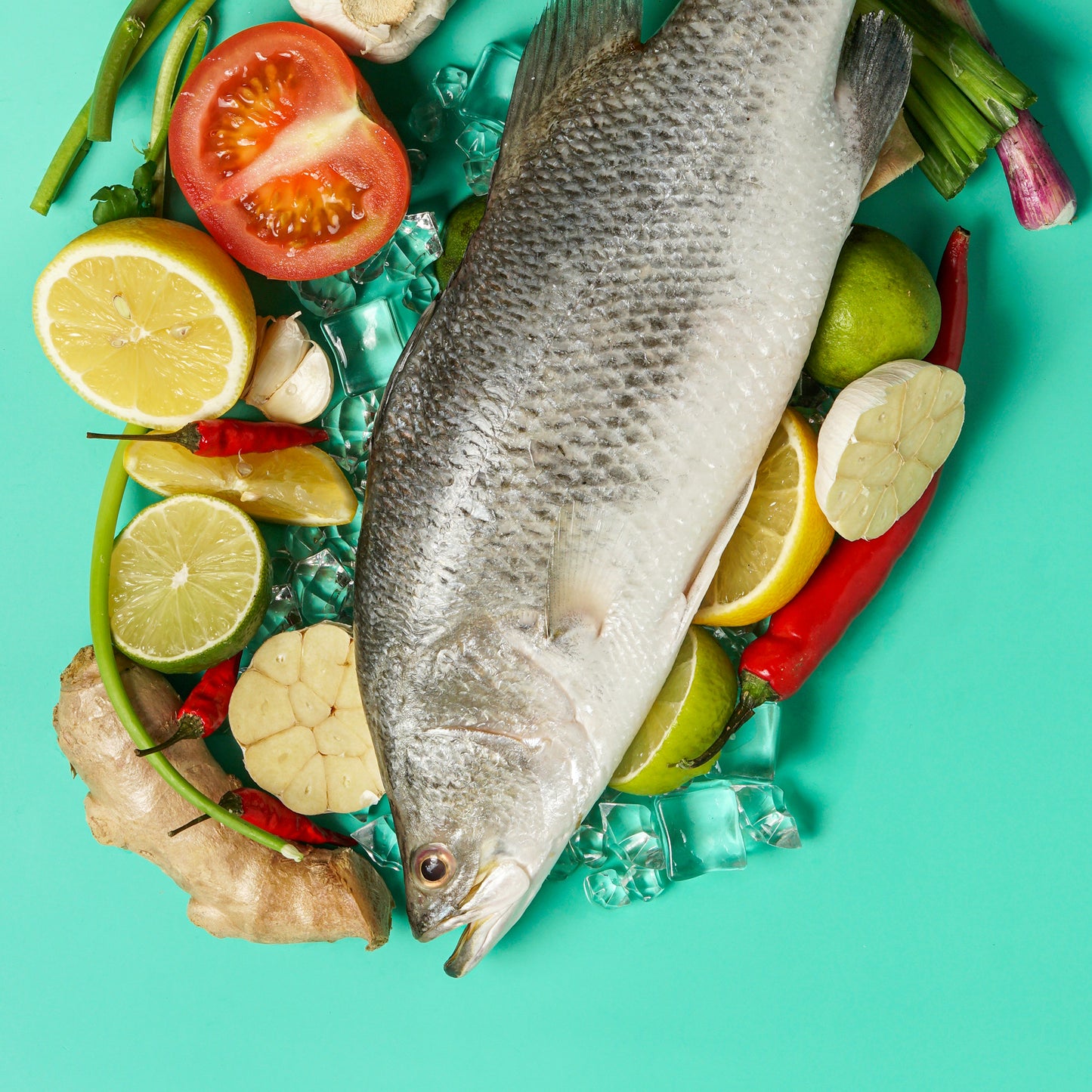 Sea Bass