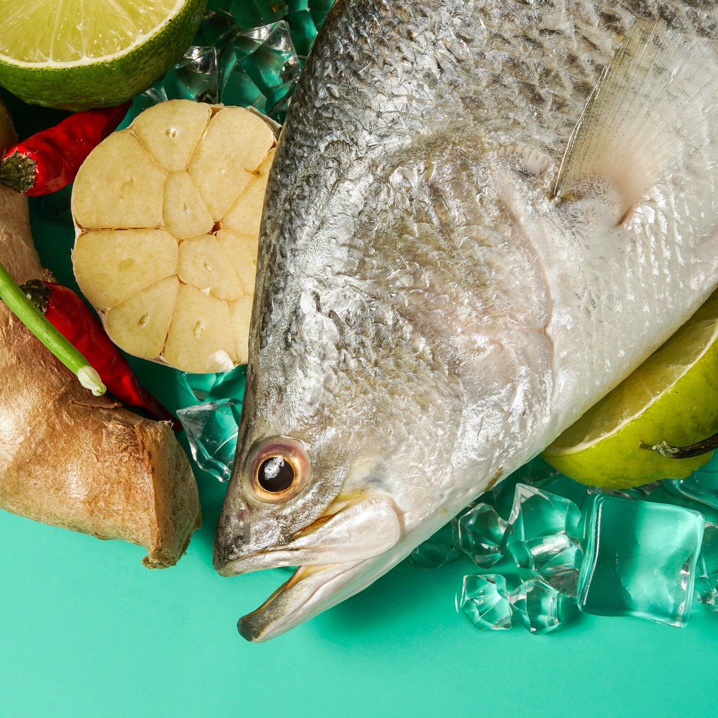 Sea Bass