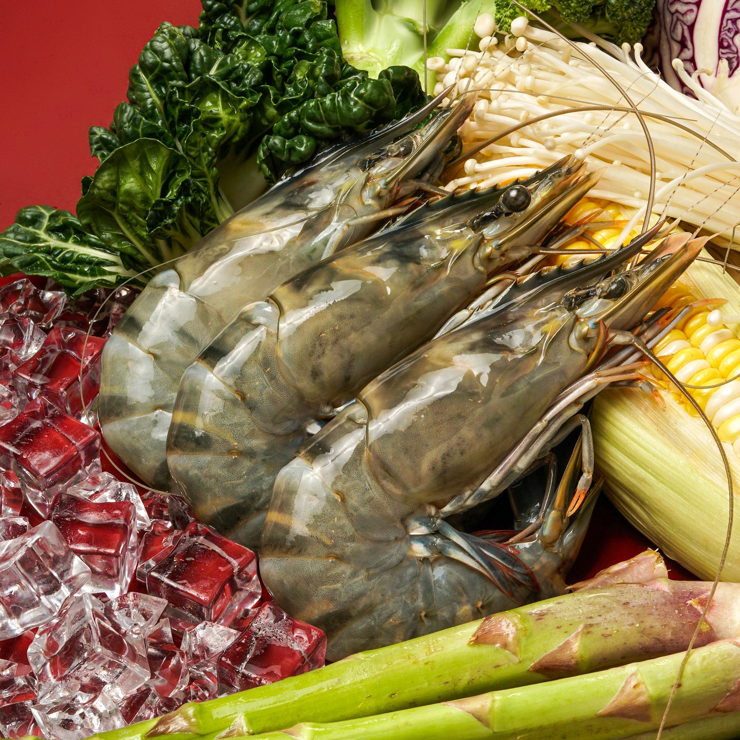 Tiger Prawns