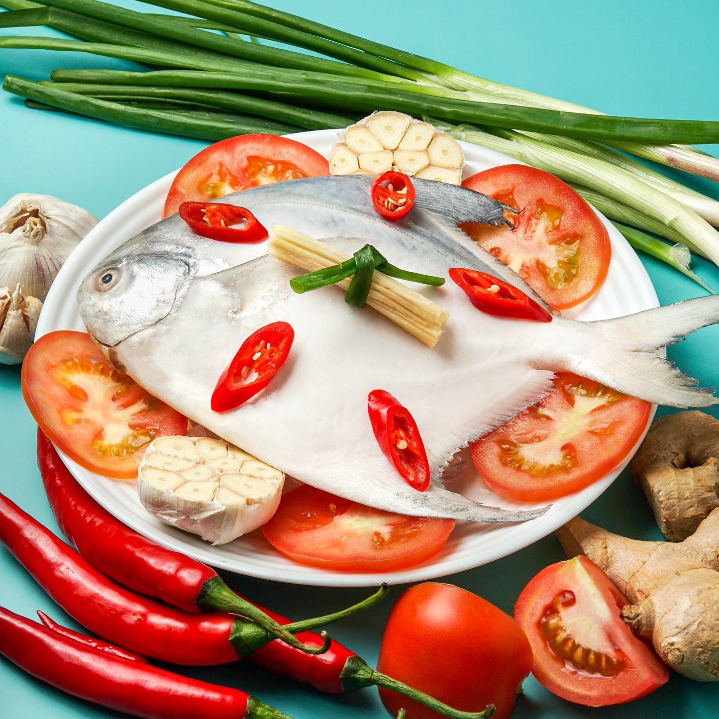 White Pomfret