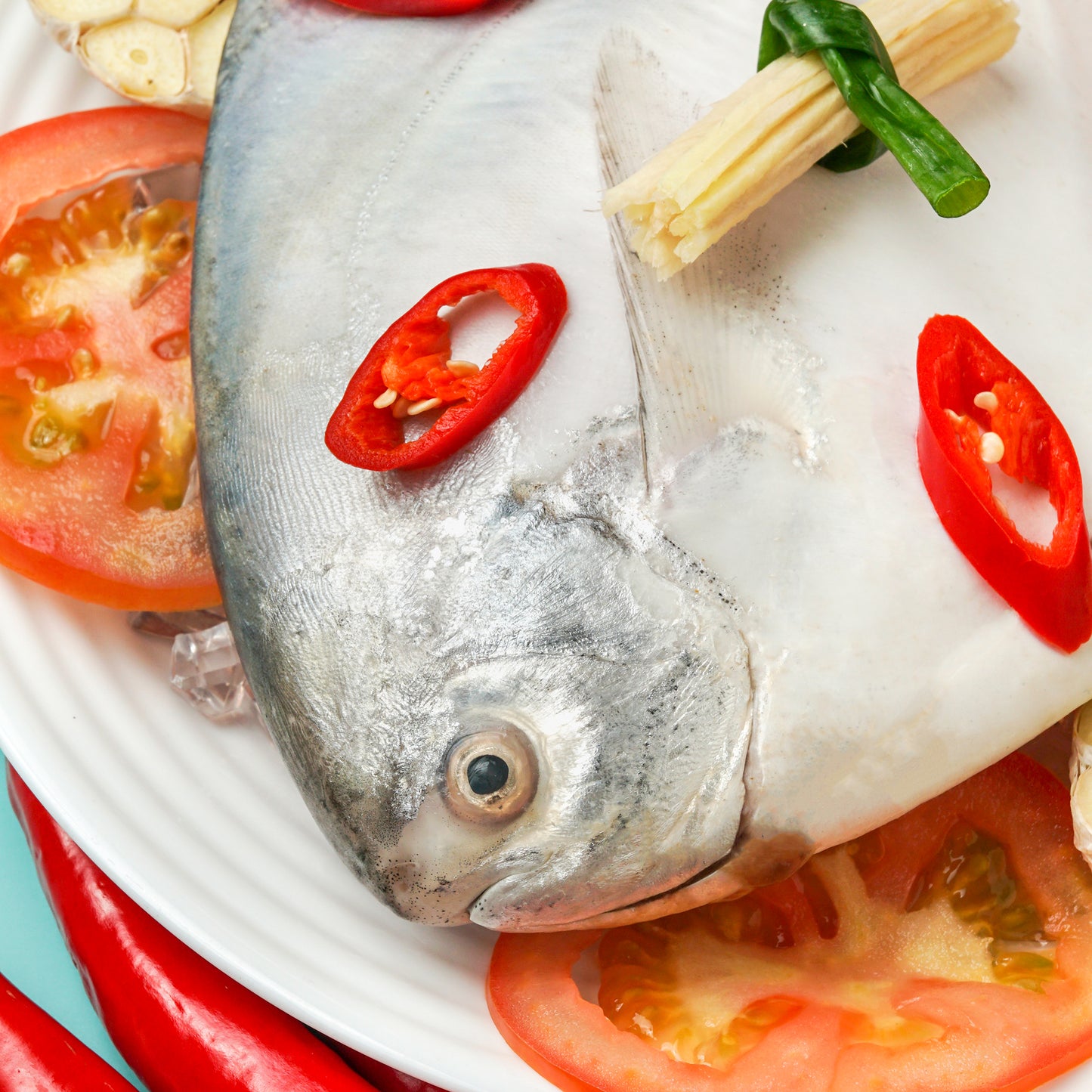 White Pomfret