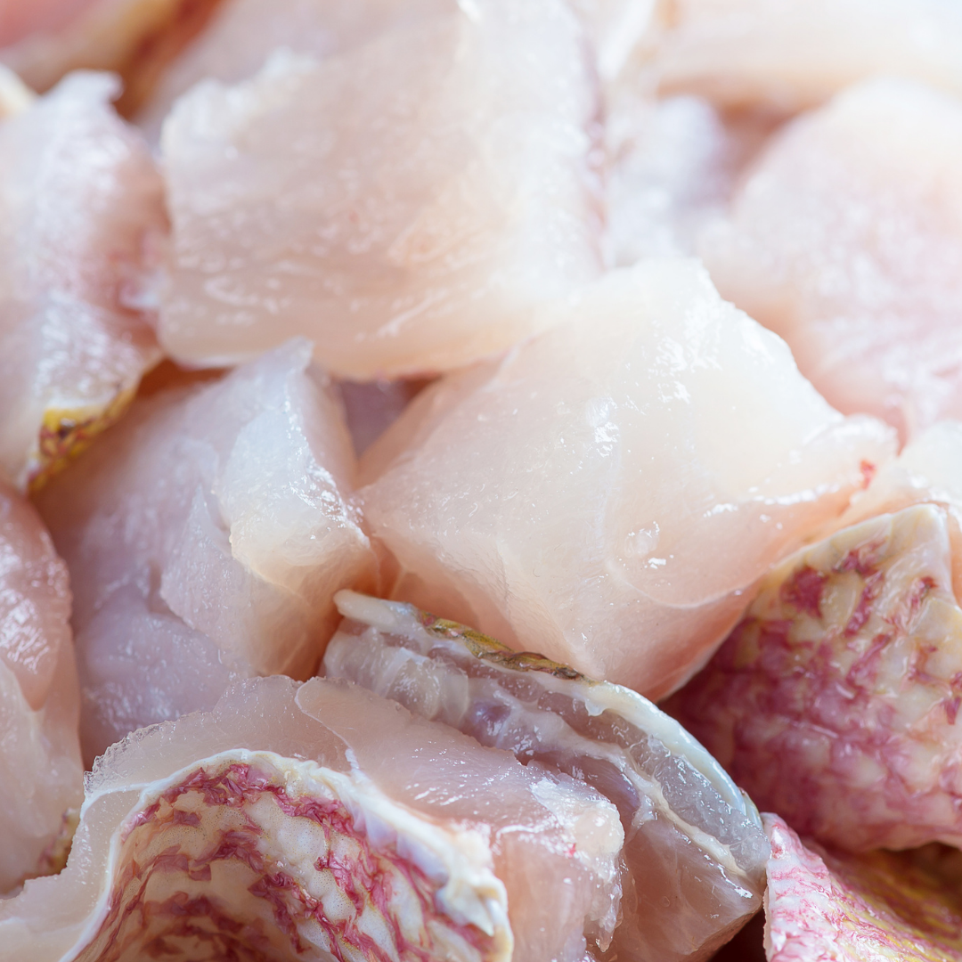 Goldband Snapper (Child Cut)