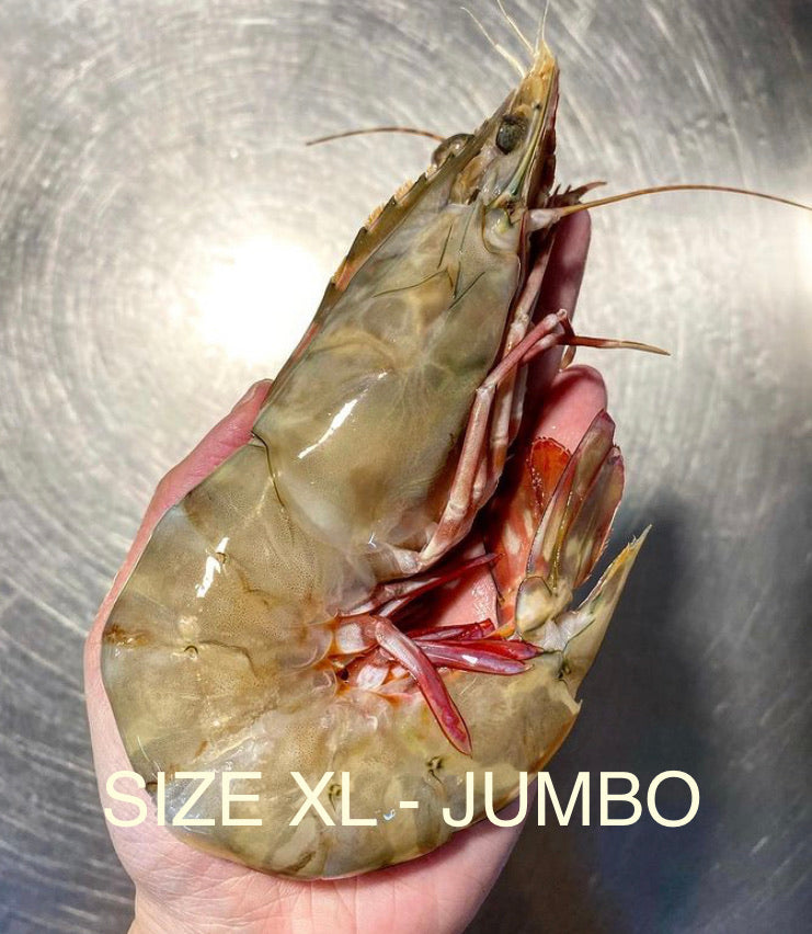 Red Leg Prawns