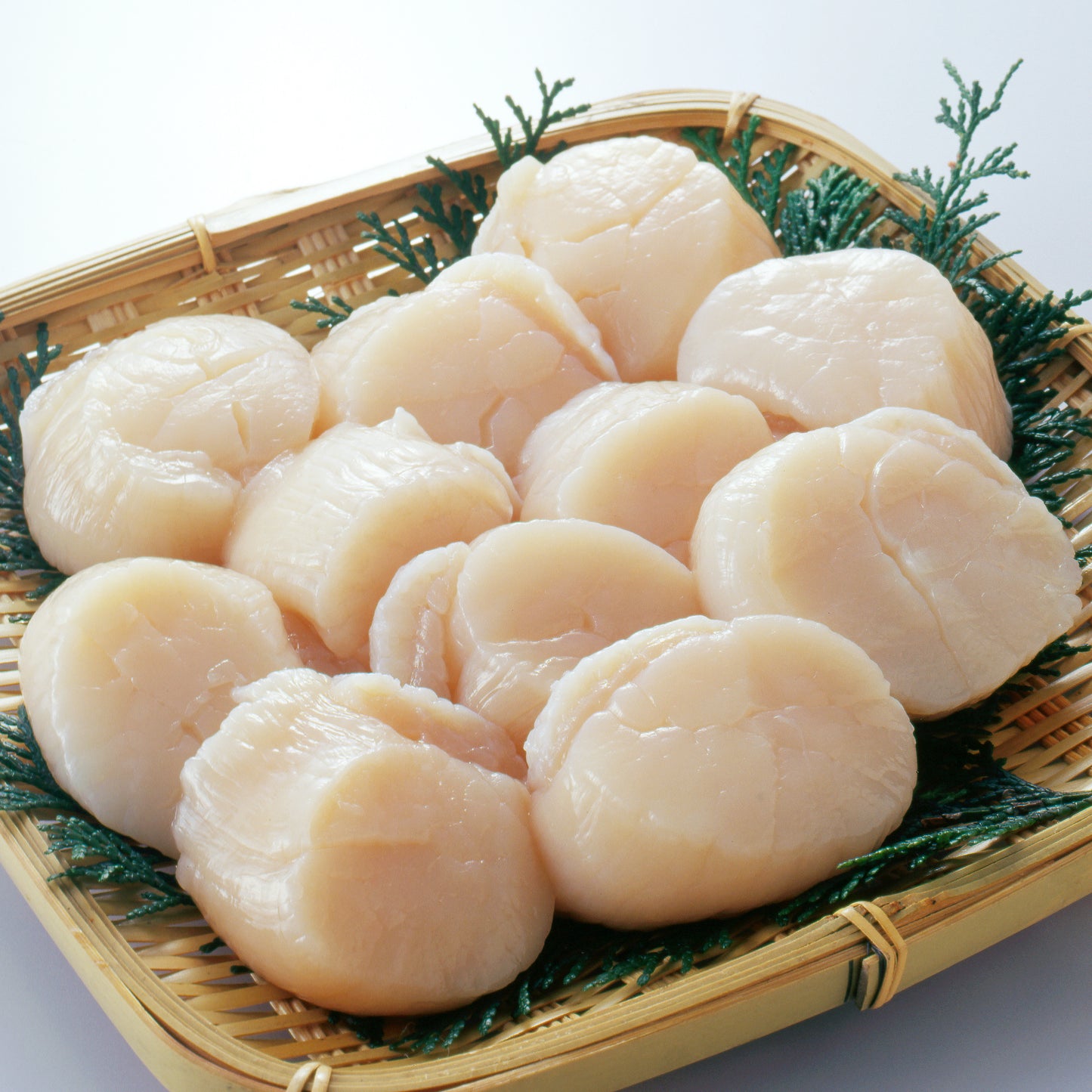 Japanese Scallops