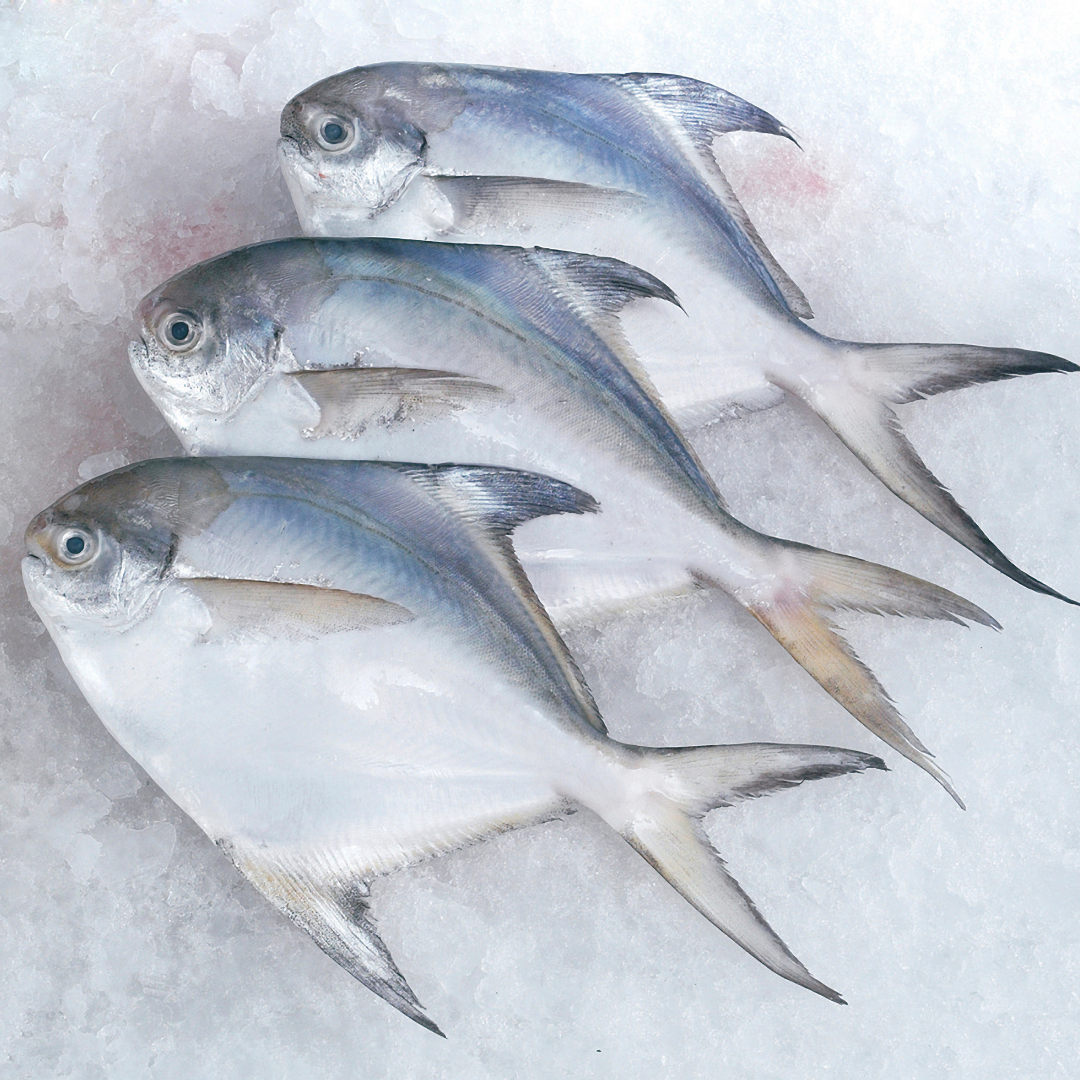 *Exclusive* 1-Month Confinement Bundle (Fish & Herbs)