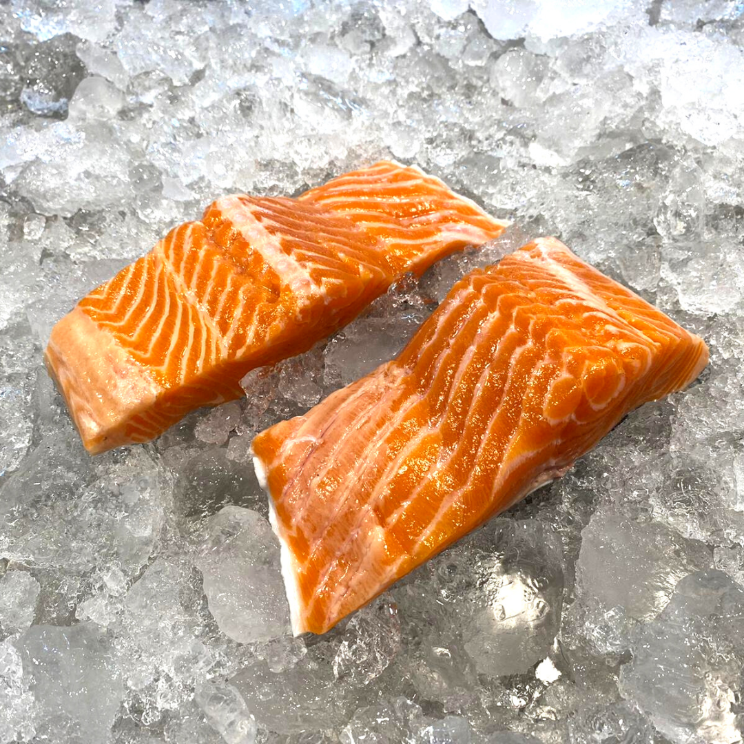 Norwegian Fjord Trout (Salmon)