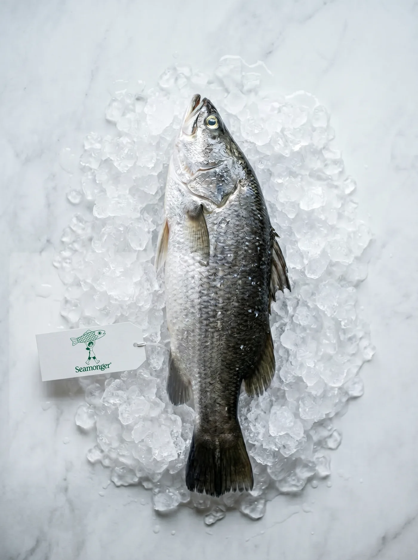 Whole Asian seabass on ice