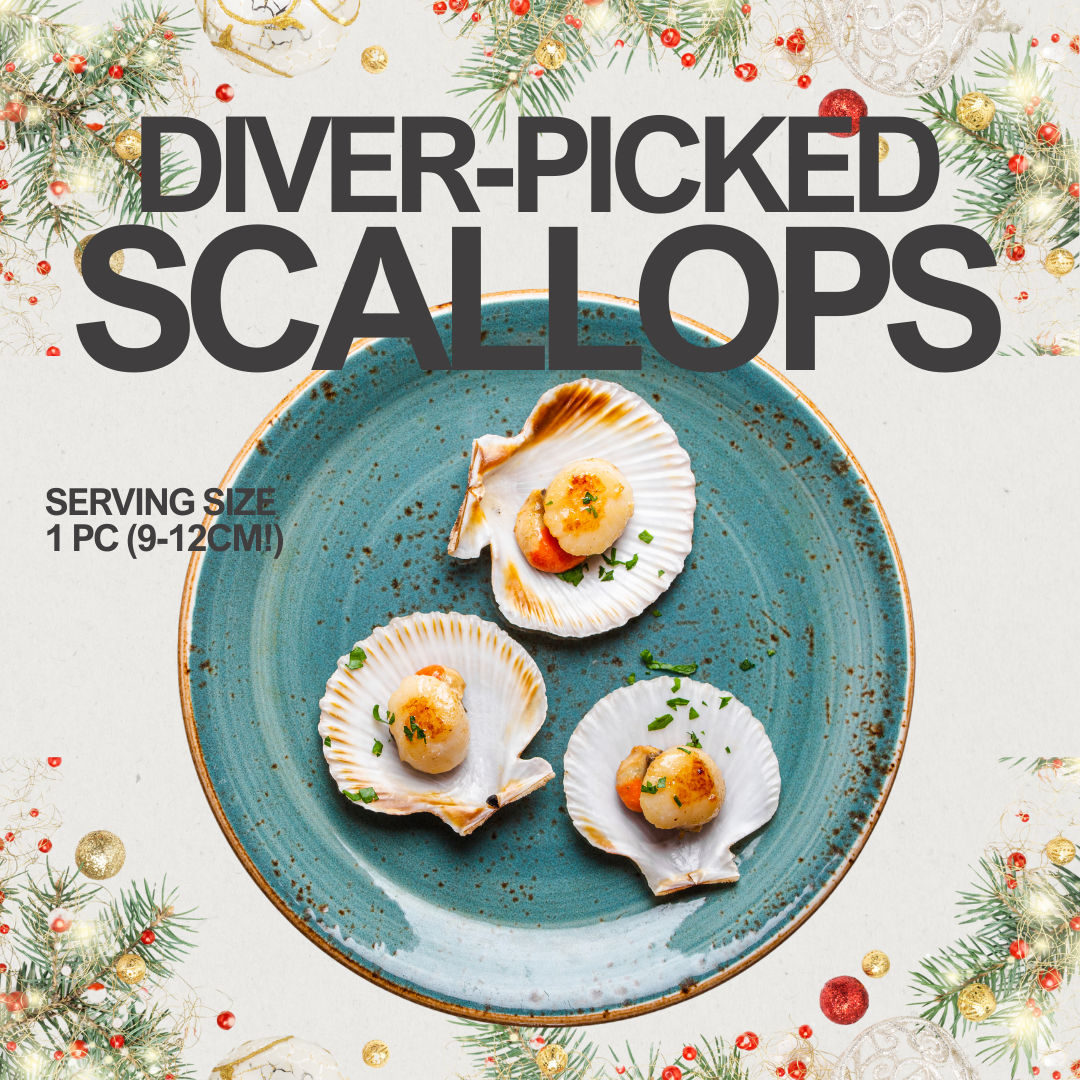 Diver-Picked Scallops (1kg)