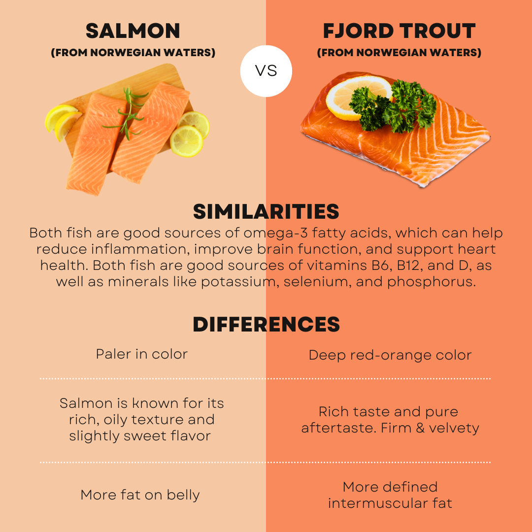 Salmon / Fjord Trout Lovers’ Box