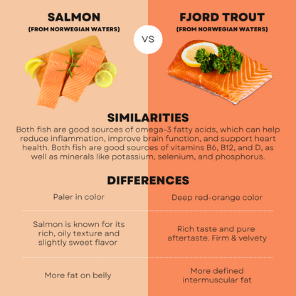 Firda Salmon Trout Child Pack (500g)