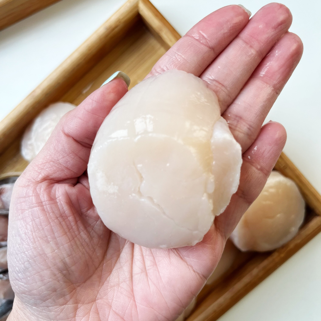 Huge Scallops (Sashimi Quality 21/25)