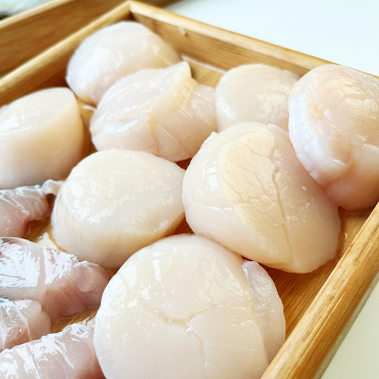 Huge Scallops (Sashimi Quality 21/25)