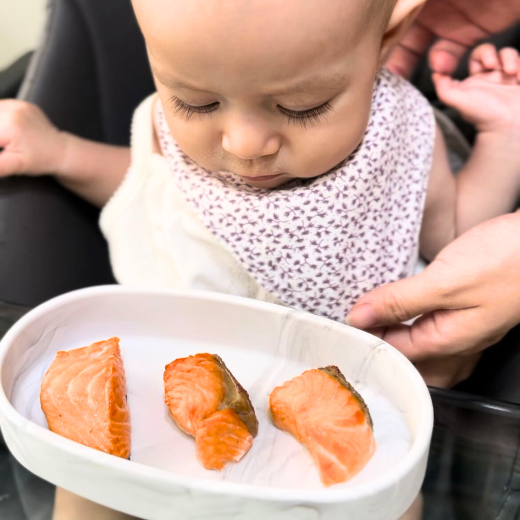 Baby's First Fishes Pack (Suitable for 6m-12m) – seamongersg