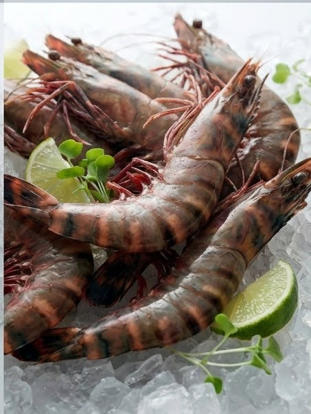 Jumbo King Prawns