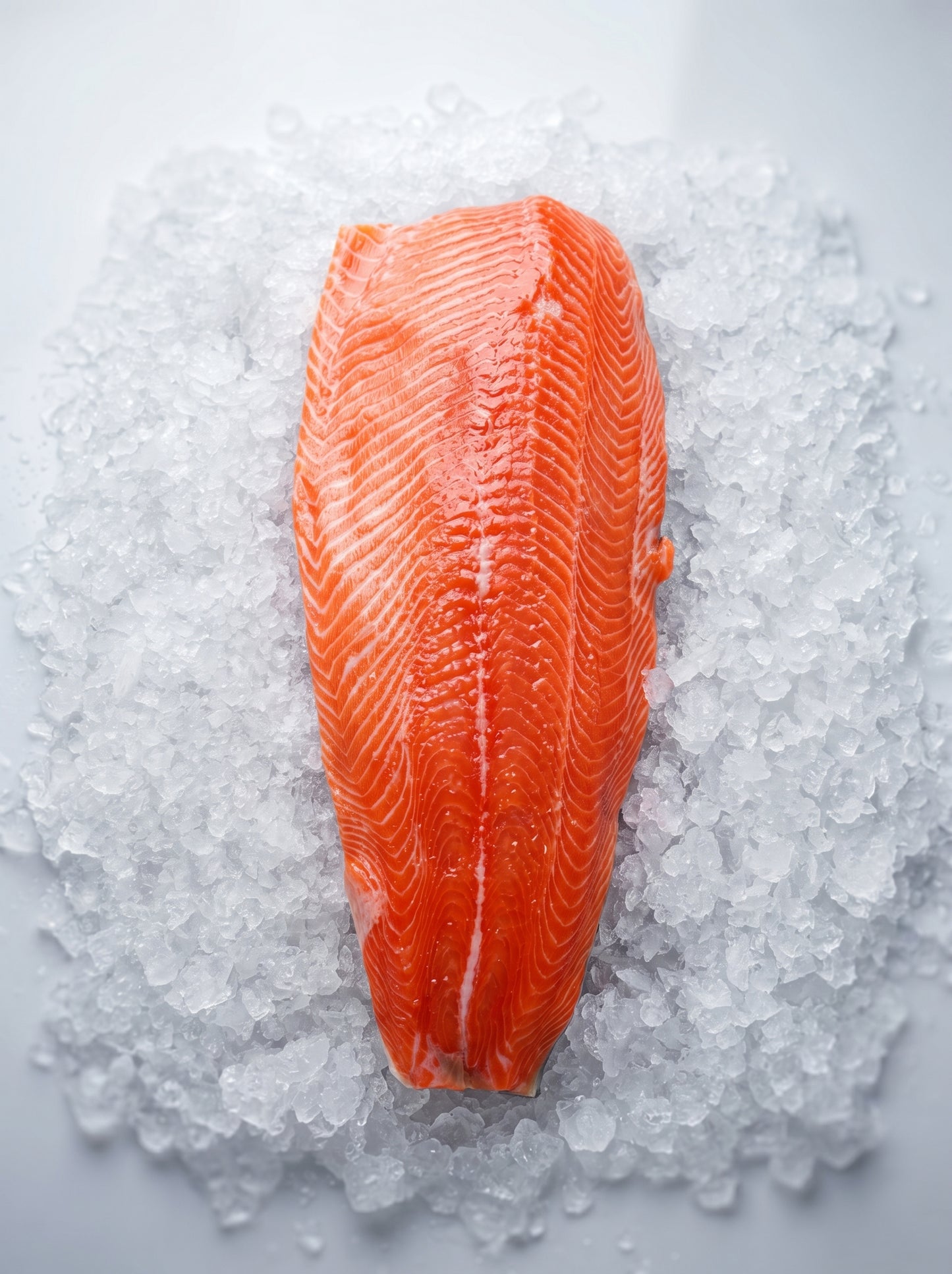 Trout / Salmon Whole Fillet Fresh