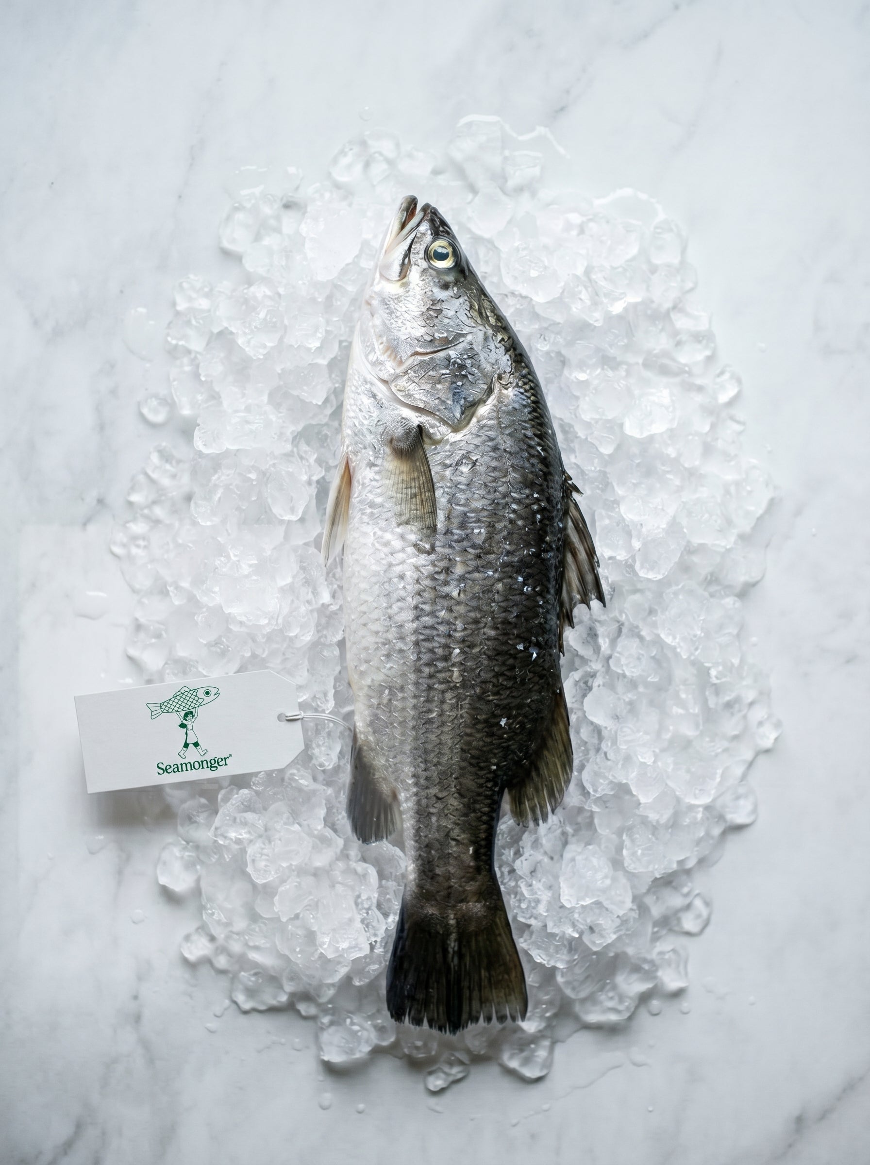 Products – seamongersg