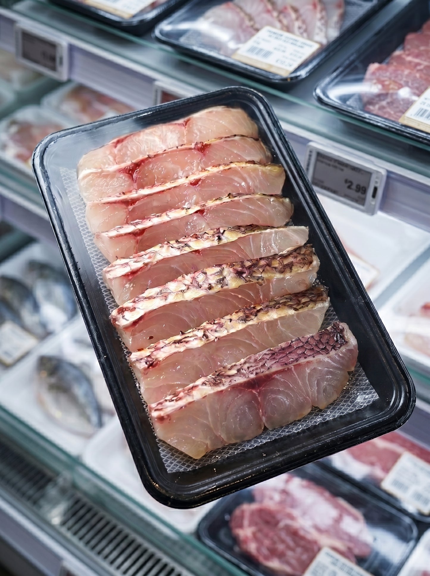 Snapper Slices (350g)