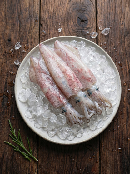 Squid (Sotong)