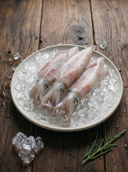 Squid (Sotong)