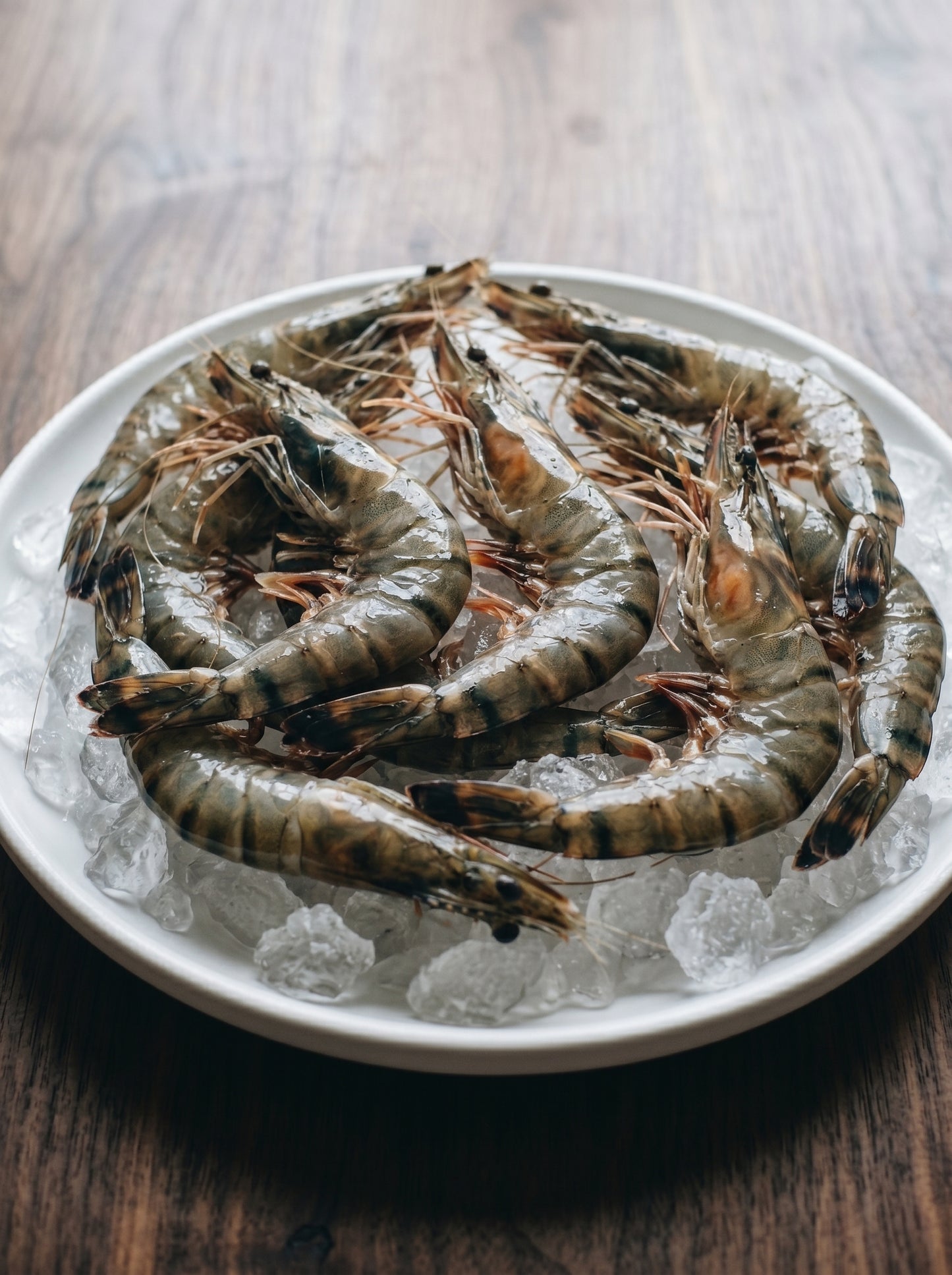 Fresh Tiger Prawns