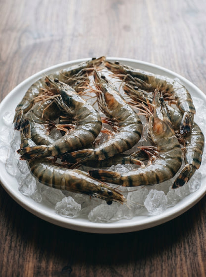 Fresh Tiger Prawns