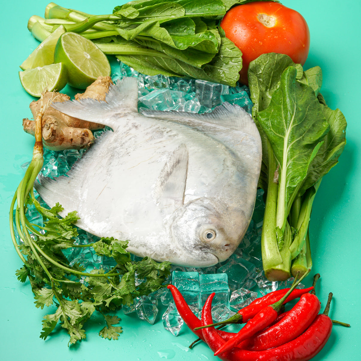 Chinese Pomfret seamongersg