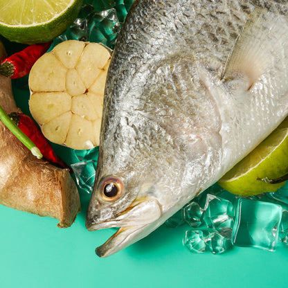 Sea Bass