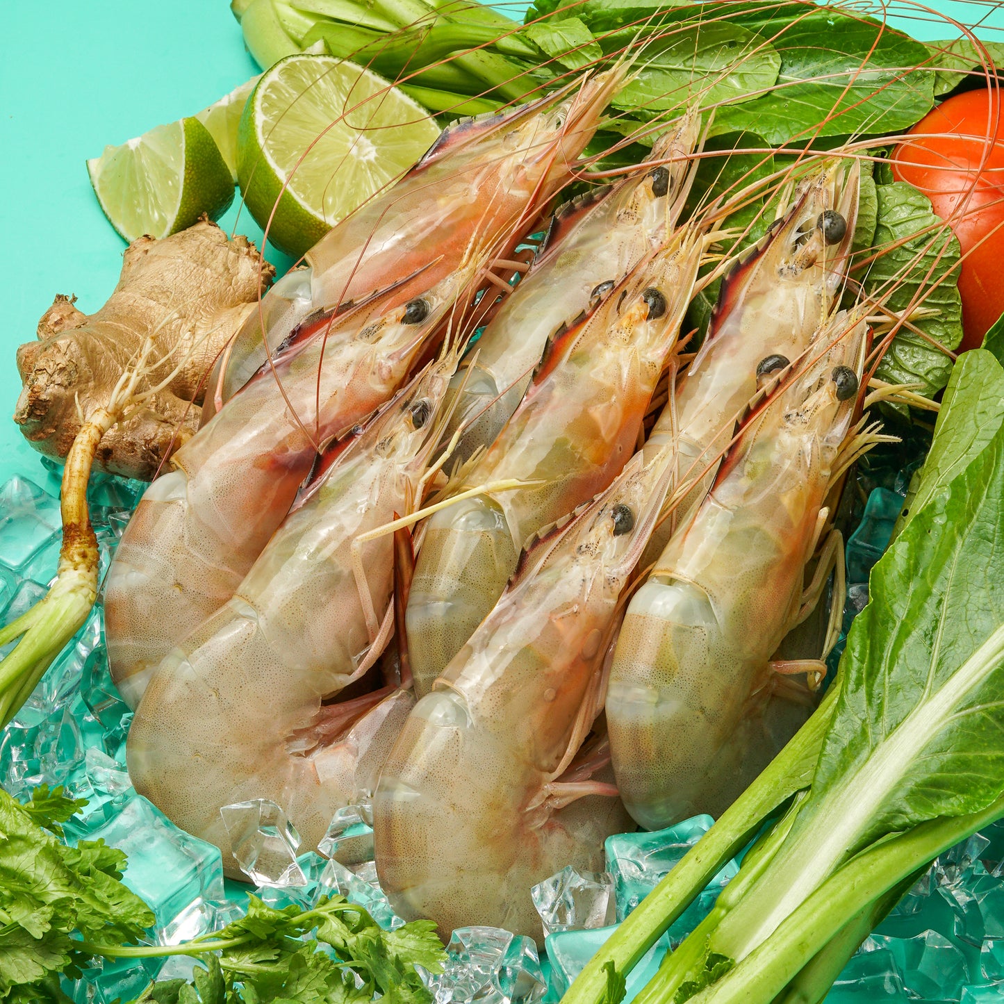 Sea Prawns (Pontian)