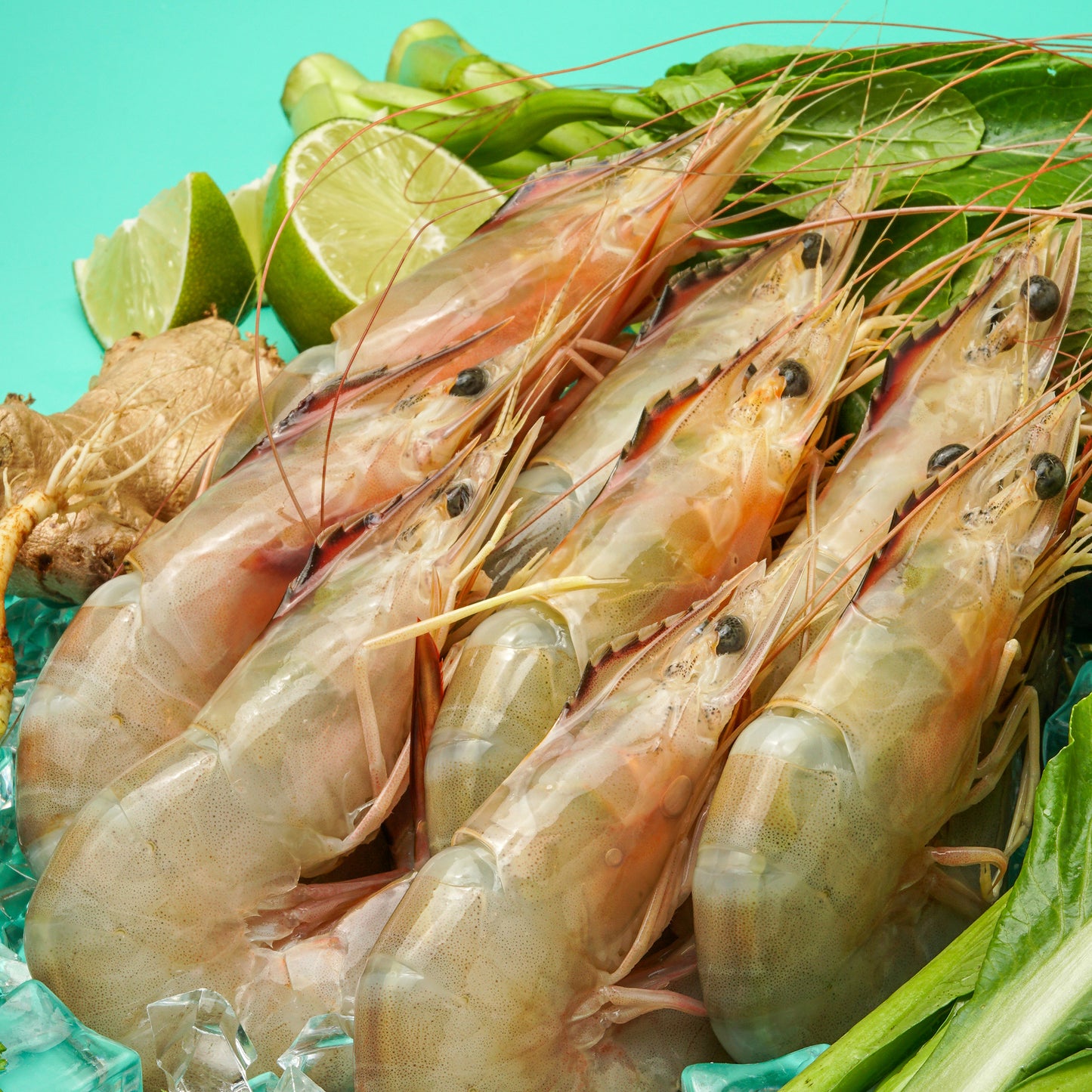 Sea Prawns (Pontian)