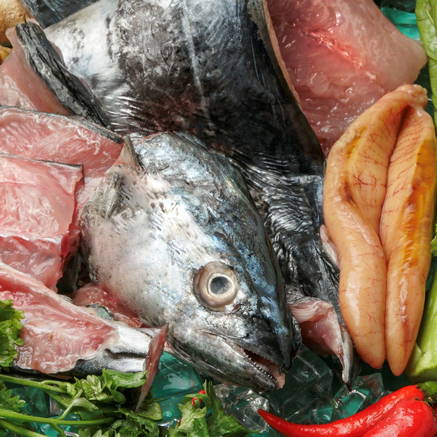 Wild Spotted Mackerel