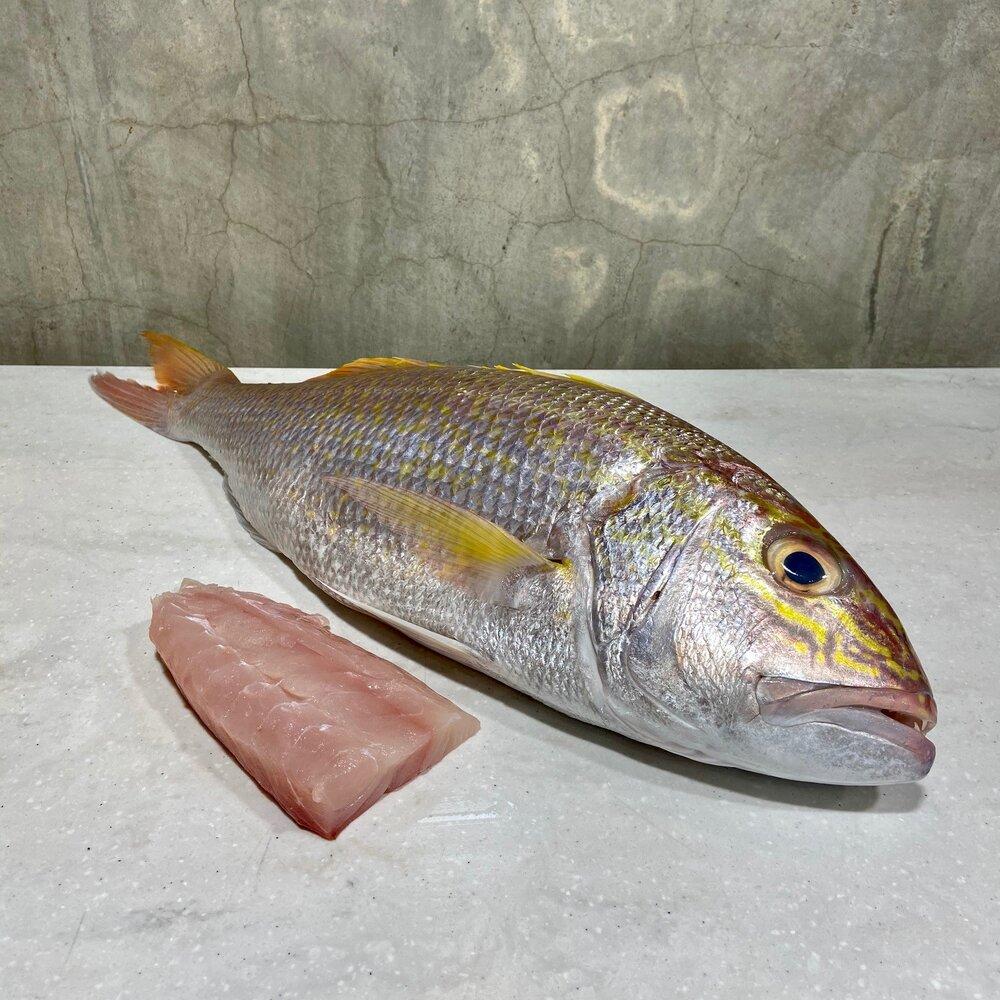 Goldband Snapper (Ang Go Li)