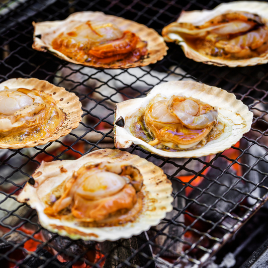 Half shell diver scallops