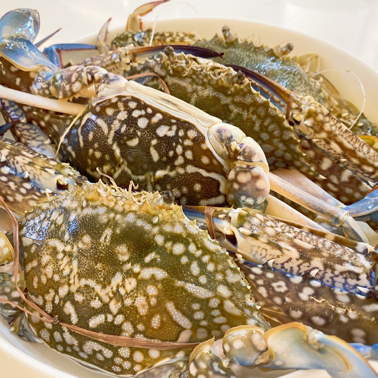 Fresh Flower Crabs