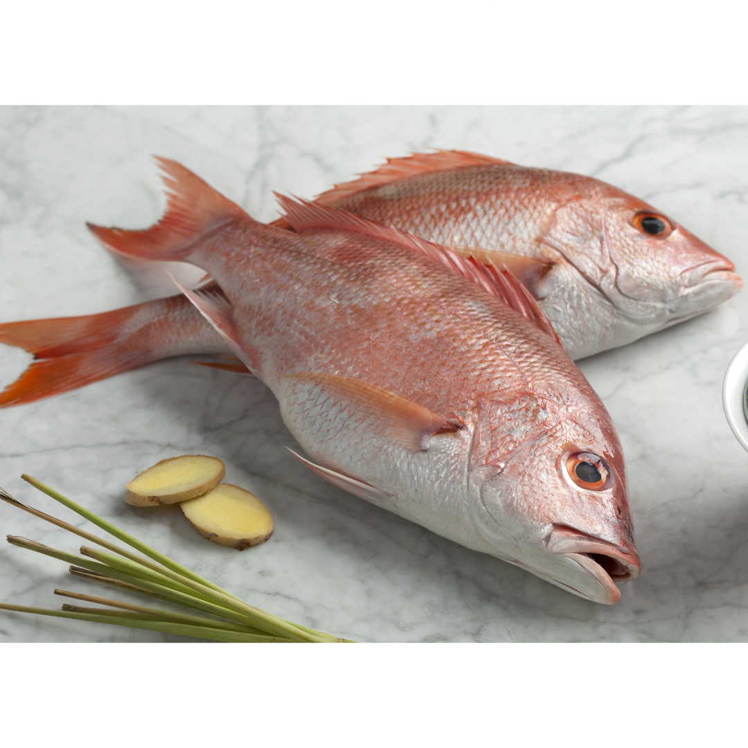 Nourishing Confinement Bundle (Fish & Sundries)